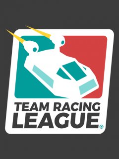 ESD Team Racing League 6277
