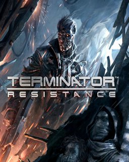 ESD Terminator Resistance STE-0007116
