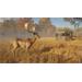 ESD theHunter Call of the Wild Tents & Ground Blin