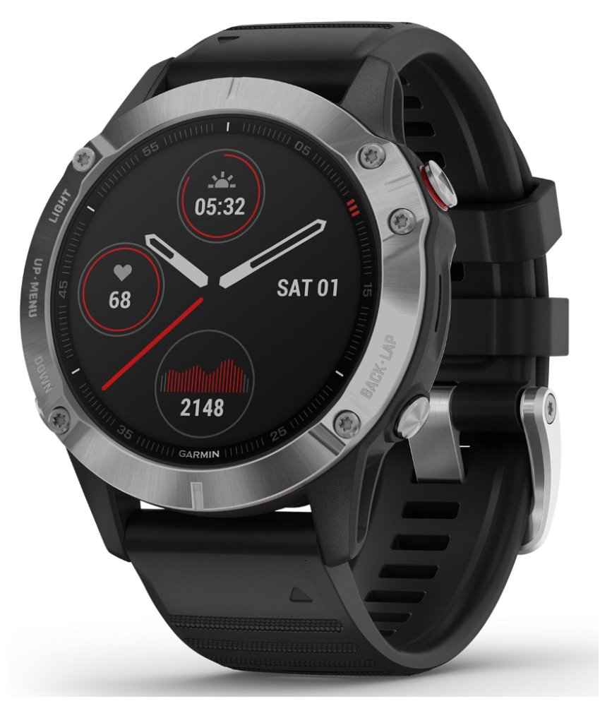 Garmin fenix6 Glass, Silver/Black Band 010-02158-00