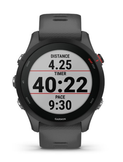Garmin Forerunner® 255, Slate Gray 010-02641-10