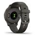 Garmin VENU 2S Slate/Graphite 010-02429-10
