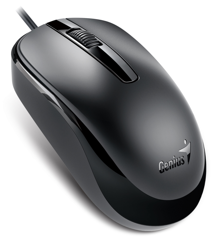 GENIUS DX-120/ drátová/ 1200 dpi/ USB-C/ černá 31010029401