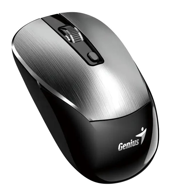 GENIUS NX-7125 Silver/ 1200 dpi/ bezdrátová/ Copilot/ 4tlačítková/ USB-A/ USB-C/ stříbrná 31030044402