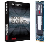GIGABYTE SSD 256GB M.2 GP-GSM2NE3256GNTD