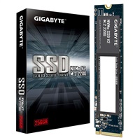 GIGABYTE SSD NVMe V2 256GB, PCIe Gen3x4, M.2 2280, (R:3200MB/s,W:1200MB/s) G3NVMEV2256G