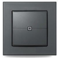 Homematic IP Nástěnný dálkový ovladač - 2 tlačítka, antracit HmIP-WRC2-A