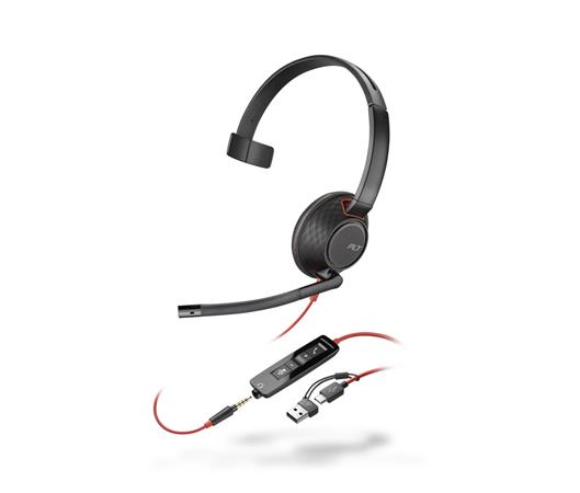 HP Poly BW 5210 USB-C HS +USB-C/A (Bulk) 8X230A6