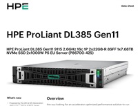 HPE PL DL385g11 AMD EPYC 9115 (2.6/16C) 2x32G (P64985) 1x7.68TB NVMe MR408i-o 2x1000W 8SFF 2p10GT Smart Choic P86700-425