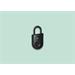 Igloohome Padlock Lite - chytrý visací zámek, otisk prstu, černá 0765855085489