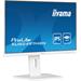 iiyama ProLite XUB2497HSN-W1, XUB2497HSN-W2