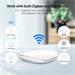 IMMAX NEO MULTI BRIDGE PRO SMART, Zigbee 3.0, Wi-Fi, Bluetooth BLE, Mesh (SIG), TUYA 07117-6