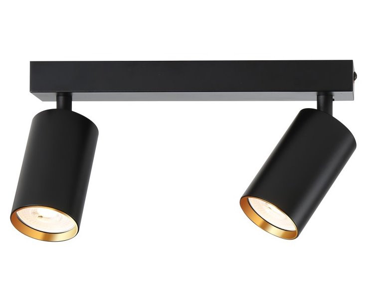 IMMAX NEO PUNTO-2 SMART bodové svítidlo černé zlaté zdroj GU10 4,8W, RGB+CCT, Zigbee 3.0, TUYA 07263Z