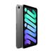 iPad mini Wi-Fi 256GB Kozmický sivý (2024) MXNA3HC/A