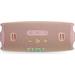 JBL Charge 6 Pink 1200130019623