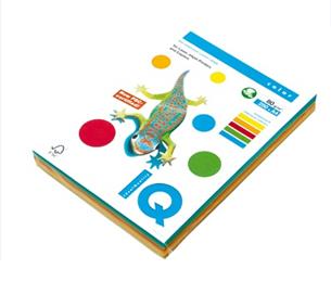 Kancelářský papír barevný IQ Color A4/80g, mix 5x50 intenzivní barvy IQC480/I-RB