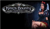 King’s Bounty: Mroczna siła Premium Edition (PC) PL klíč Steam 68818