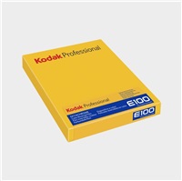 Kodak Ektachrome E100 8x10 10 Sheets 1069822