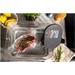 Lauben Smart Sous Vide 1200SB 4260645680562