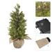 LED stromček, 50 cm, vonkajšia aj vnútorná, teplá biela, časovač 8592920147238