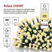 LED vianočná cherry reťaz – guličky, 30 m,vonk. aj vnútor.,teplá biela, programy, časovač 8592920146521