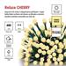 LED vianočná cherry reťaz – guličky, 48 m, vonk. aj vnútor.,teplá biela, programy, časovač 8592920146620
