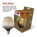 LED žiarovka DECO S123 / E27 / 4 W (16 W) / 150 lm / flame 8592920148730