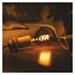LED žiarovka DECO SMOKED G125 / E27 / 4,5 W (19 W) / 180 lm / flame 8592920149089