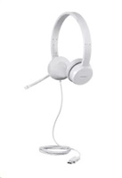 Lenovo 110 Stereo USB Headset GXD1E71385