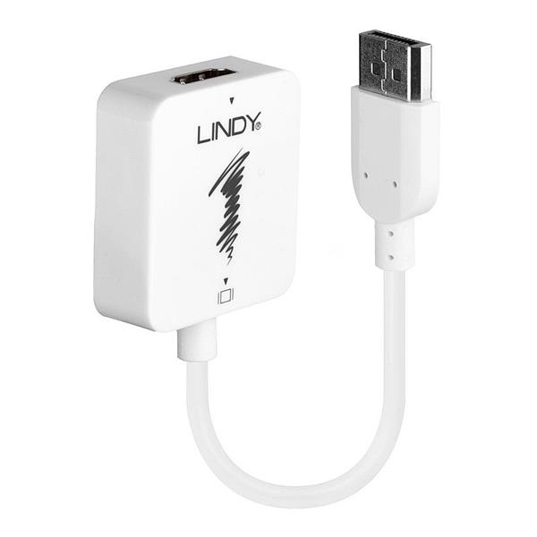 Lindy Konvertor HDMI na DisplayPort F/M podpora 4K UHD 15cm biely L38146