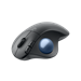 LOGITECH, ERGO M575S Wless Trckball Mouse Graphite 910-007029