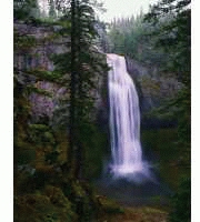 MAJESTY MousePad MPB-MP700(077)