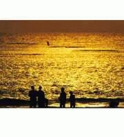 MAJESTY MousePad MPB-MP700(081)