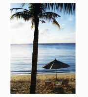 MAJESTY MousePad MPB-MP700(097)