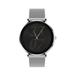 MaxCom Smartwatch FW27 Selenium Silver FW27 SR