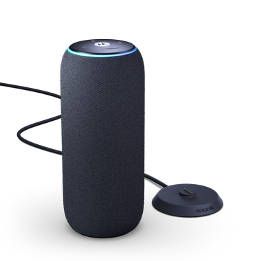 Motorola Sound Flow (Repro) Carbon 840493605326