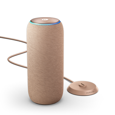 Motorola Sound Flow (Repro) Warn Toupe 840493605371