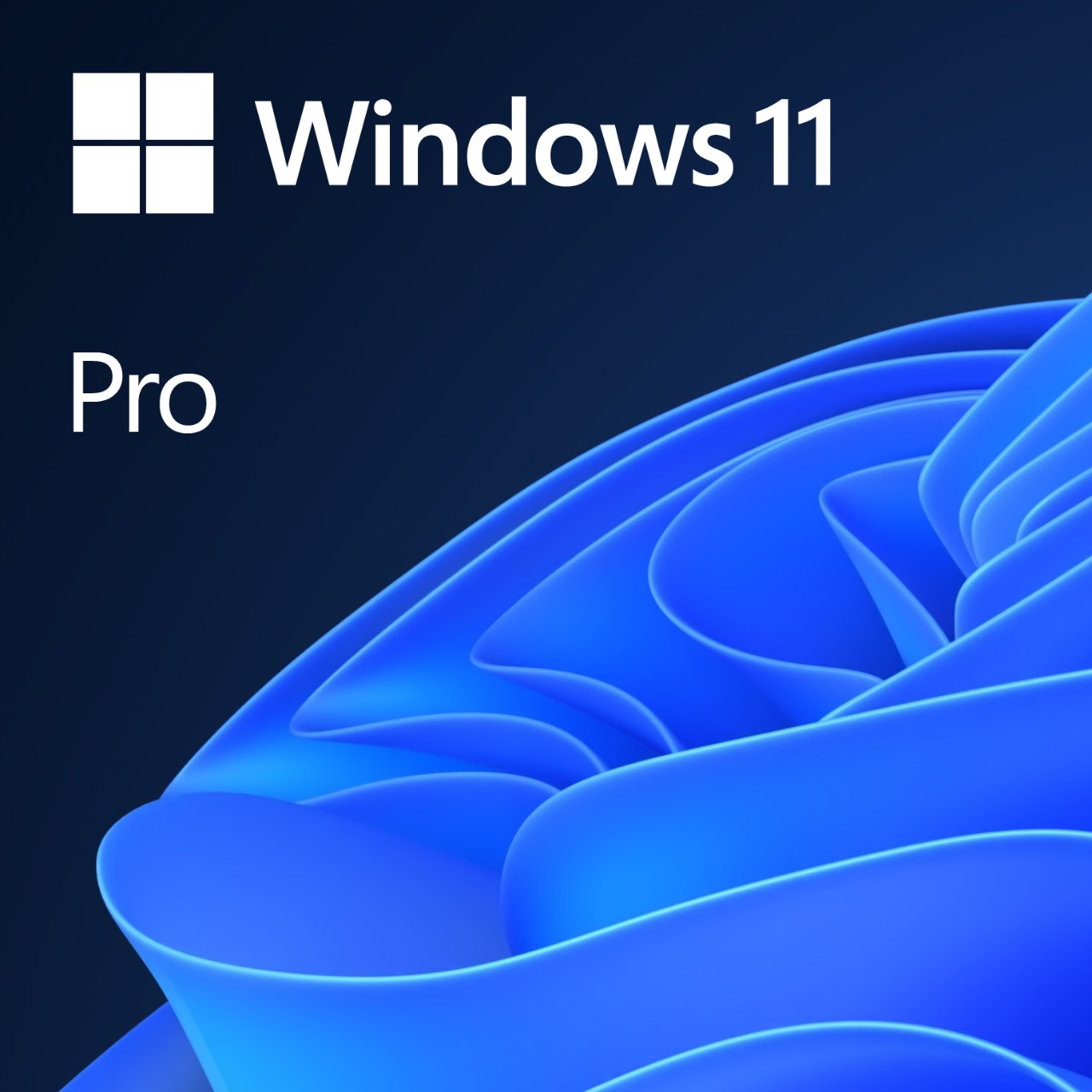 MS Windows 11 Professional 64-bit Slovak 1pk OEM DVDFQC-10550