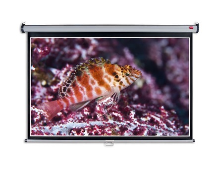 Nástěnné projekční plátno NOBO, 240x160cm (16:10) 1902394W