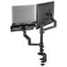 Neomounts DS20-425BL2/Držák displeje a notebooku/na stůl/17-27"; 11,6-17,3"/svorka+průch./VESA 100X100/nosn. 8+5kg/čern