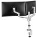 Neomounts DS60-425WH2 /Držák displeje/na stůl/17-27"/svorka+průchodka/3čepy/VESA 100X100/nosn.2x8kg/2 displeje/bílý