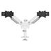 Neomounts DS65S-950WH2 Neomounts NEXT One SL Desk Mount, double display, sliding VESA (topfix clamp/grommet), white