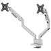 Neomounts DS70-250SL2 Neomounts NEXT Slim Desk Mount, double display (topfix clamp/grommet), silver