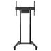 Neomounts FL55-875BL1/Držák displeje/vozík/37-100"/4 kolečka/VESA 800X600/nosn. 110kg/mot. nast.výšky/černý