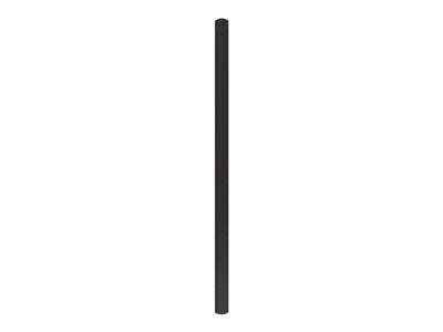 NewStar FPMA-CP150BLACK - Upevňovací komponent (extension pole) pro LCD/plazma TV - černá - stropní