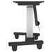 NewStar Motorised Mobile Floor Stand (90 degr tilt) - VESA 200x200 up to 800x600 PLASMA-M2500TSILVER