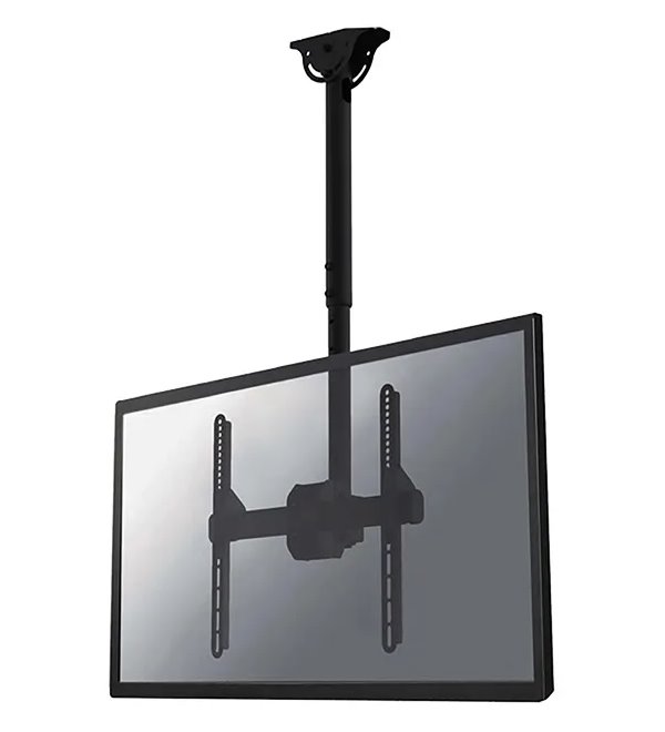 NewStar NeoMounts Flat screen ceiling mount (32 - 60'') NM-C440BLACK