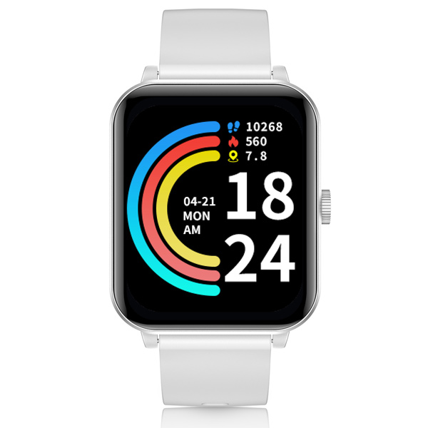 Niceboy Watch 4 Lite Arctic Silver 8594182428742