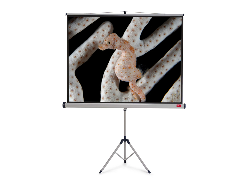 NOBO Tripod plátno š150 x v114 -matný bílý,4:3 1902395