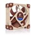NOCTUA Ventilátor NF-A8 5V, 80mm, hnědá
